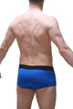 Blauer Morrier Boxer