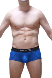 Blauer Morrier Boxer