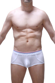 Boxer Morrier blanco