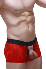 Olloix Bee Red Boxer