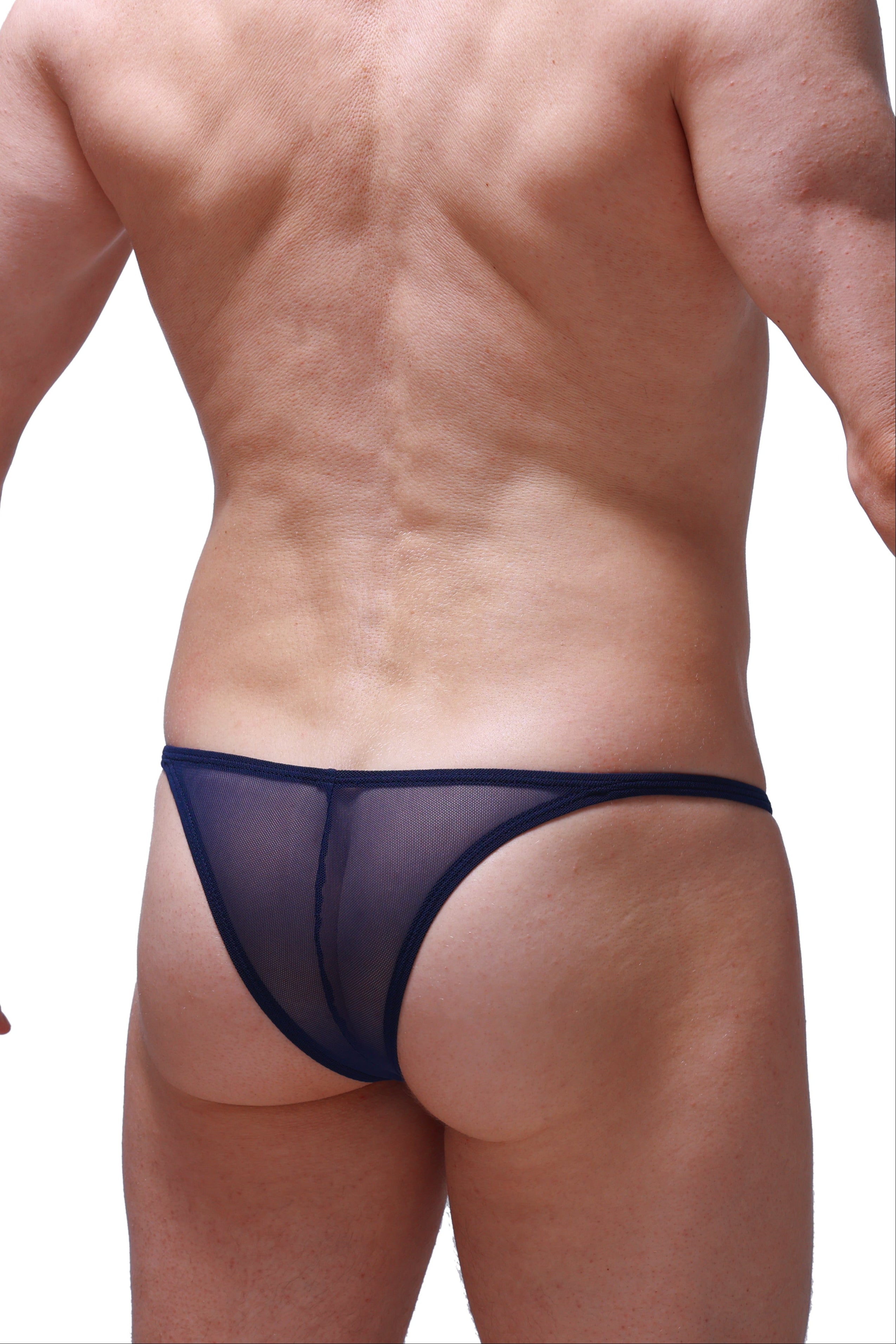 Plellis Net Blue Bikini