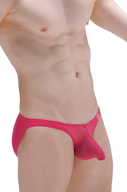 Dumbo Net Fuchsia Bikini