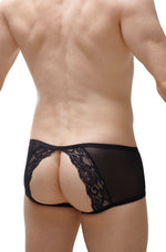 Boxer Murol Lace