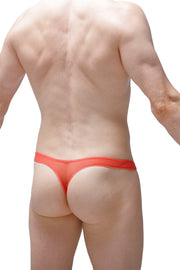 Tanga Lasso Cockring Transparente Sandía